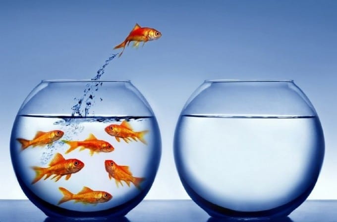 A Importância da Mudança